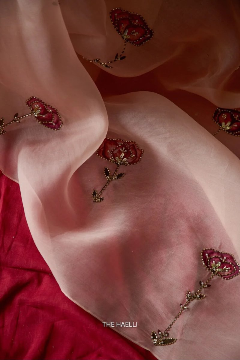 Tew Soft Organza Cut Dana Flower Handwork Saree